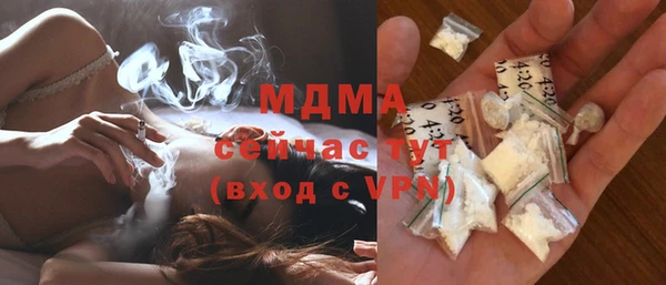 мдпв Гусев