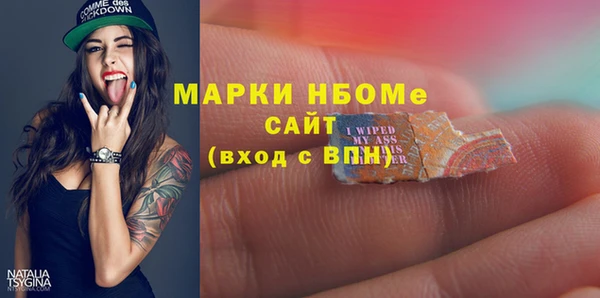 мдпв Гусев