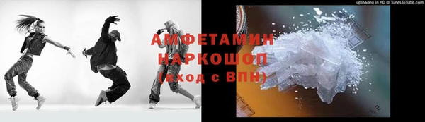 мдпв Гусев