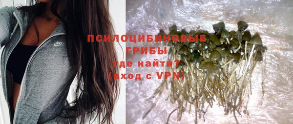 а пвп мука Гусь-Хрустальный