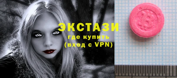 мдпв Гусев