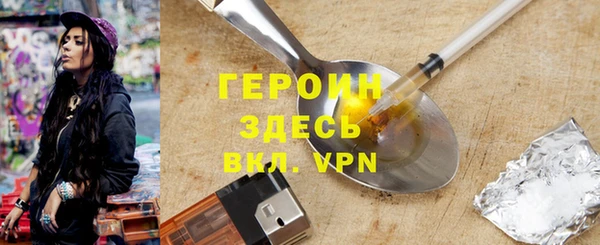 мдпв Гусев