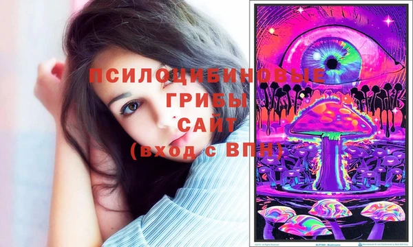 мдпв Гусев