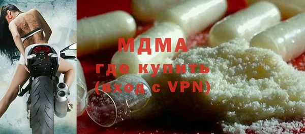мдпв Гусев